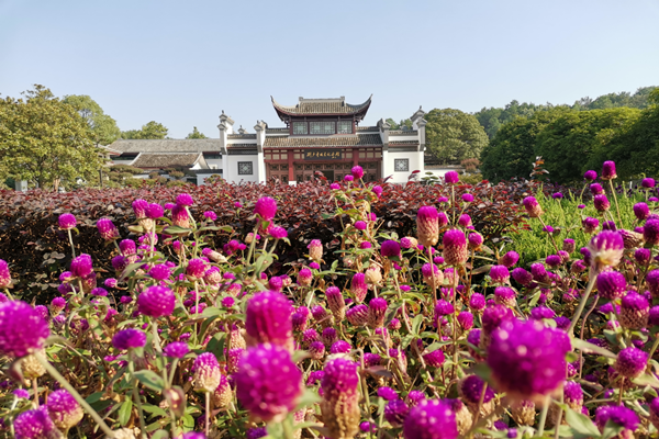 鍥剧墖9_鍓湰.png